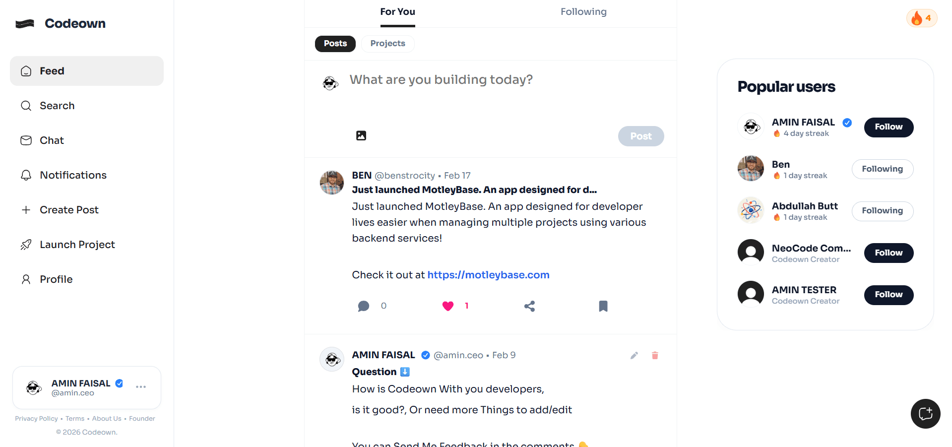 Codeown screenshot 1
