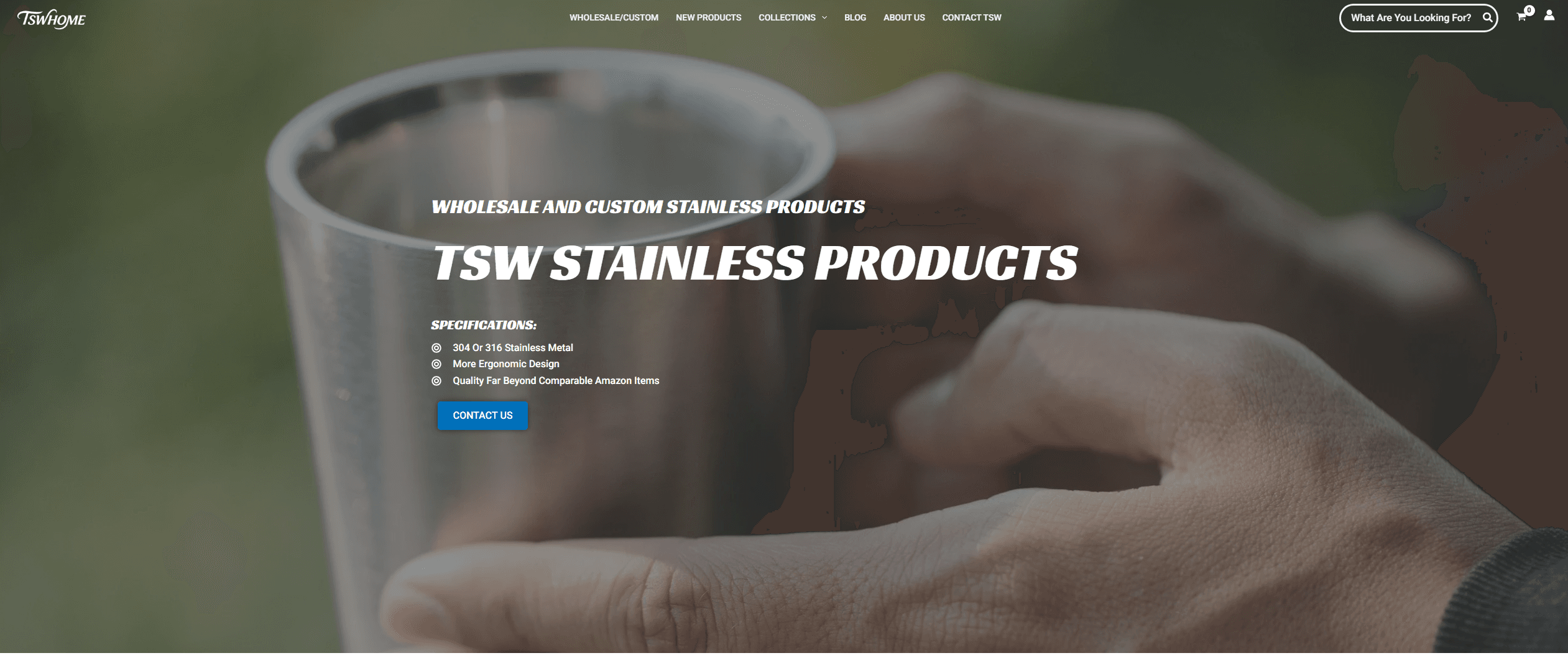 TSW Home screenshot 1