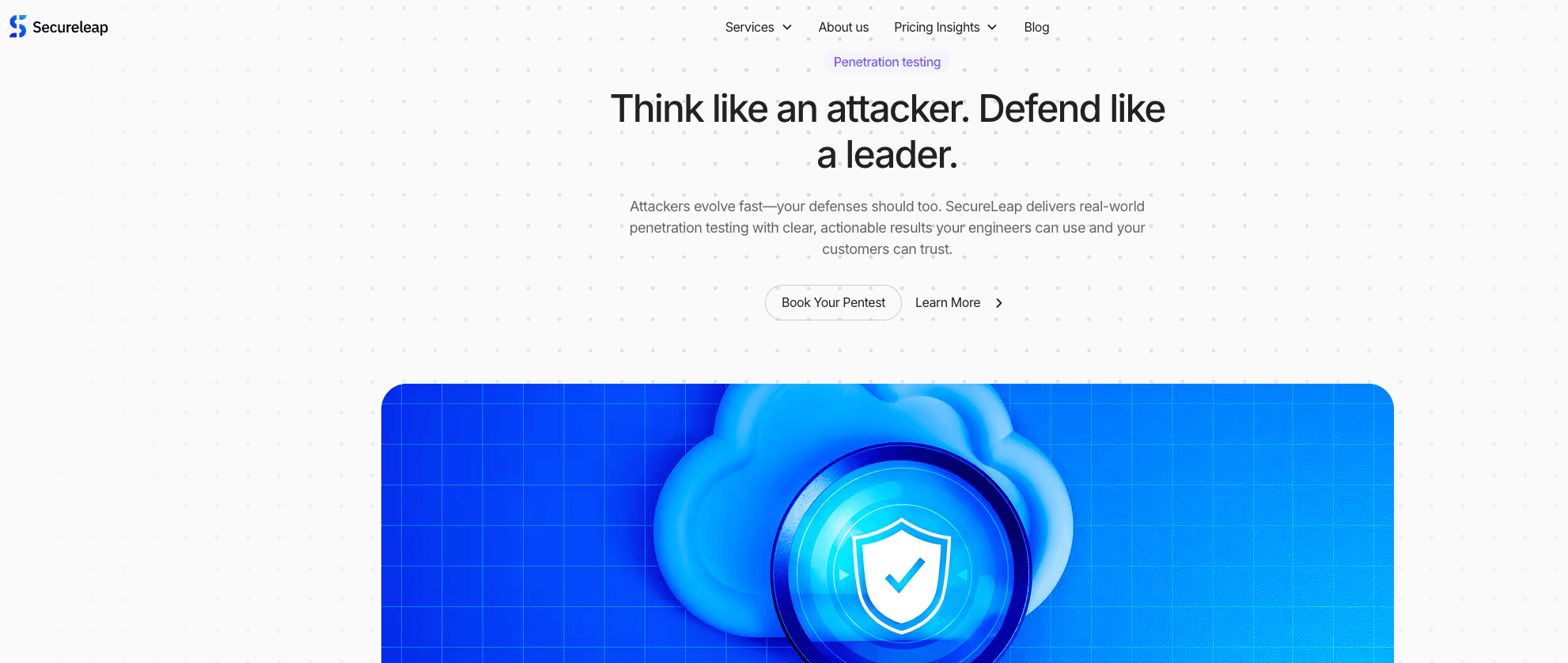 SecureLeap Pentest Services screenshot 1
