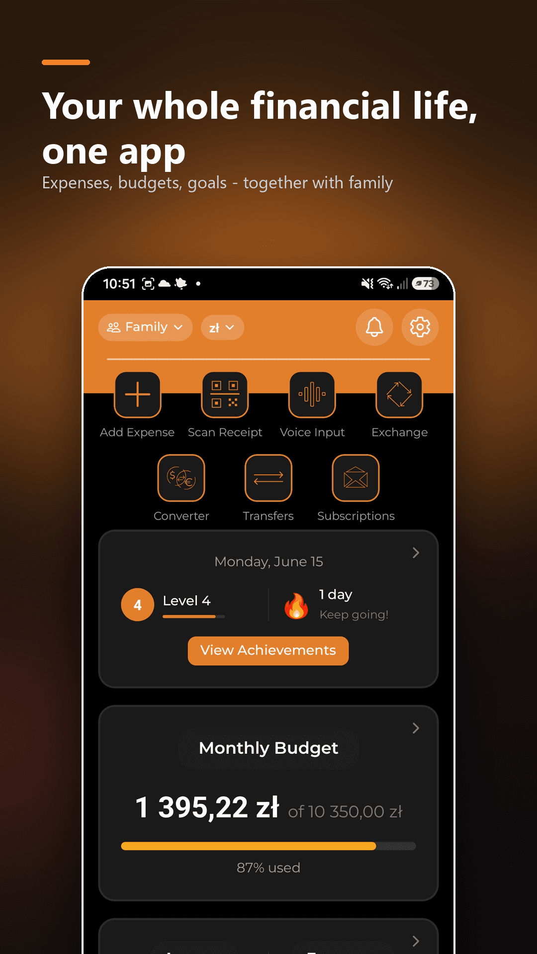 AI Budget Assistant screenshot 1