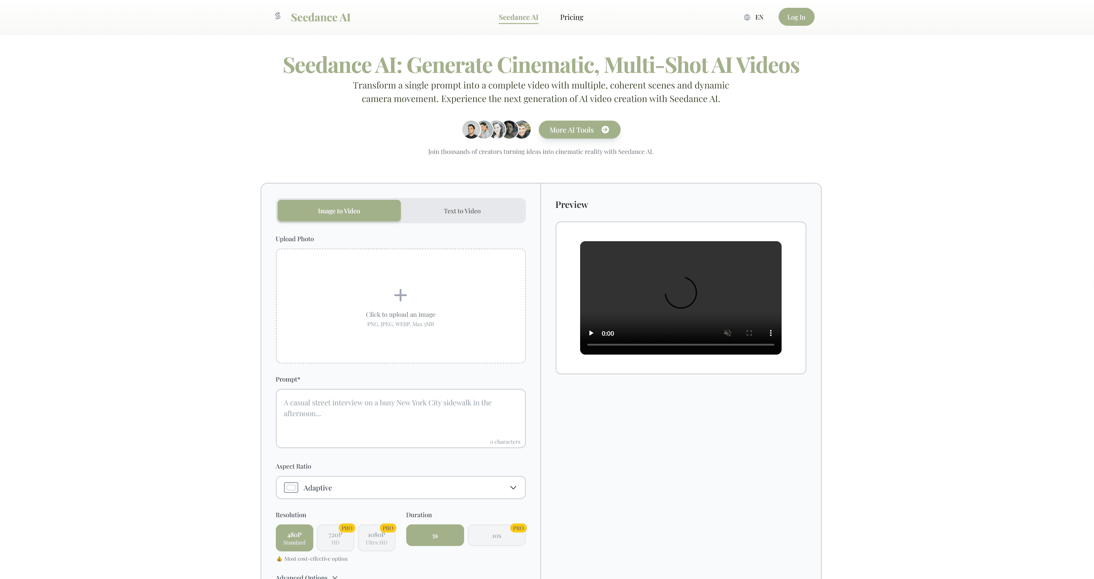Seedance AI screenshot 1