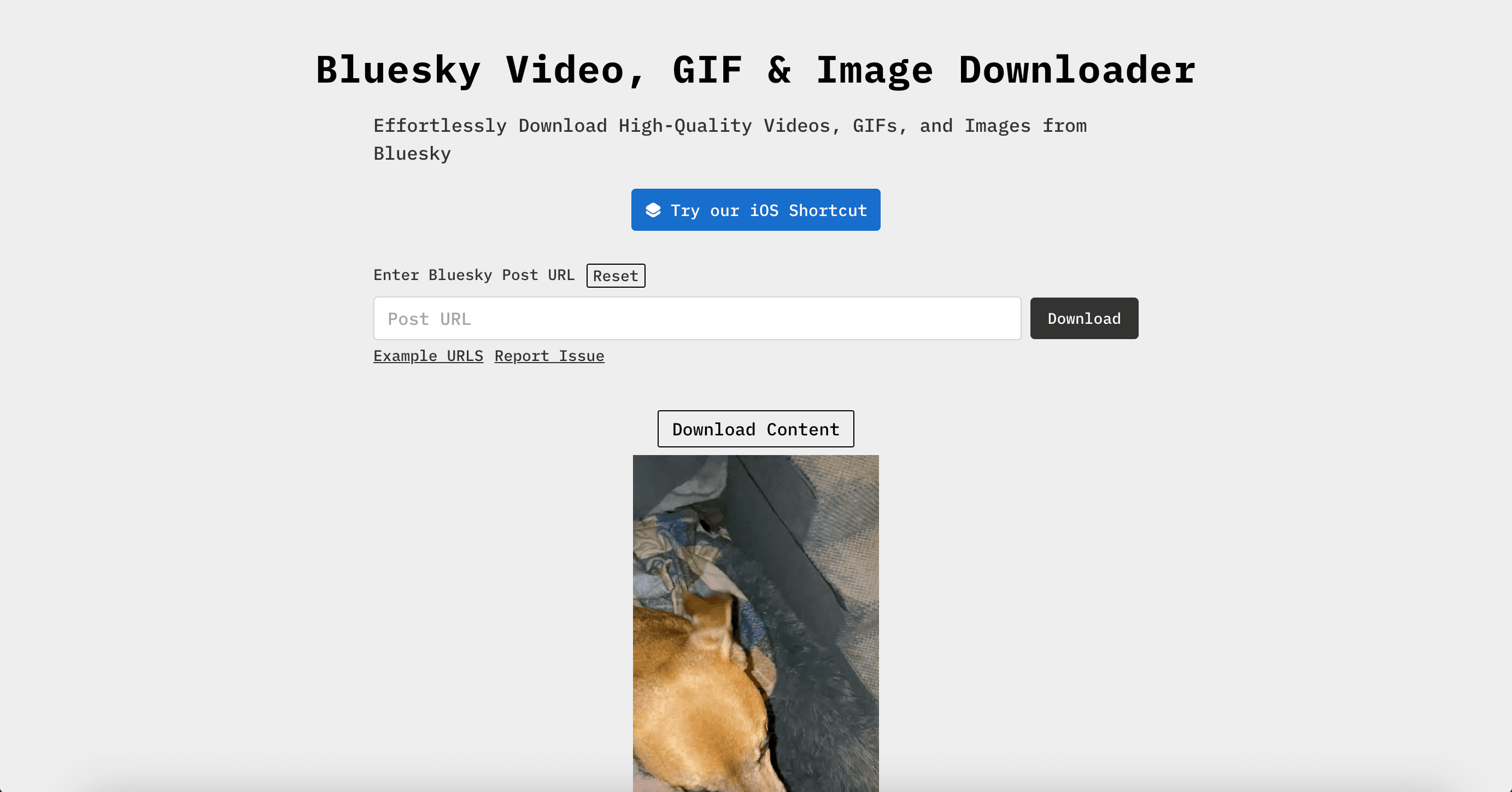 Bluesky Video Downloader screenshot 1