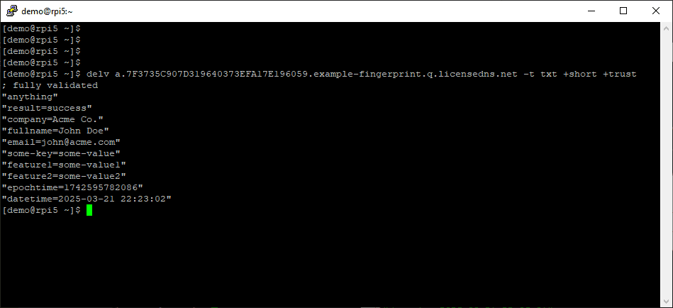 LicenseDNS screenshot 1