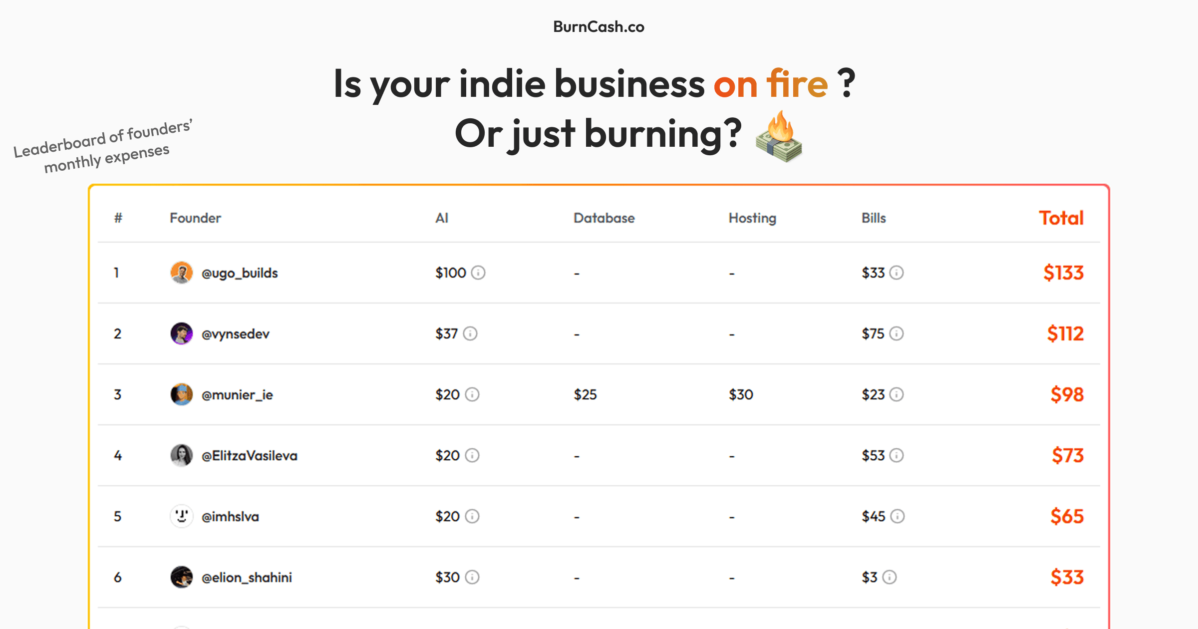 BurnCash screenshot 1