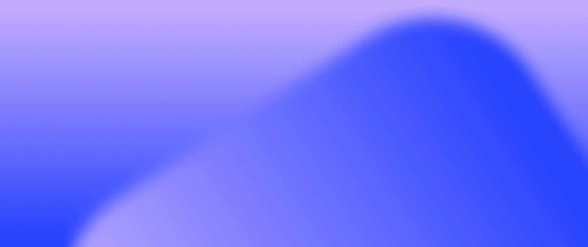 BorderAudit screenshot 1
