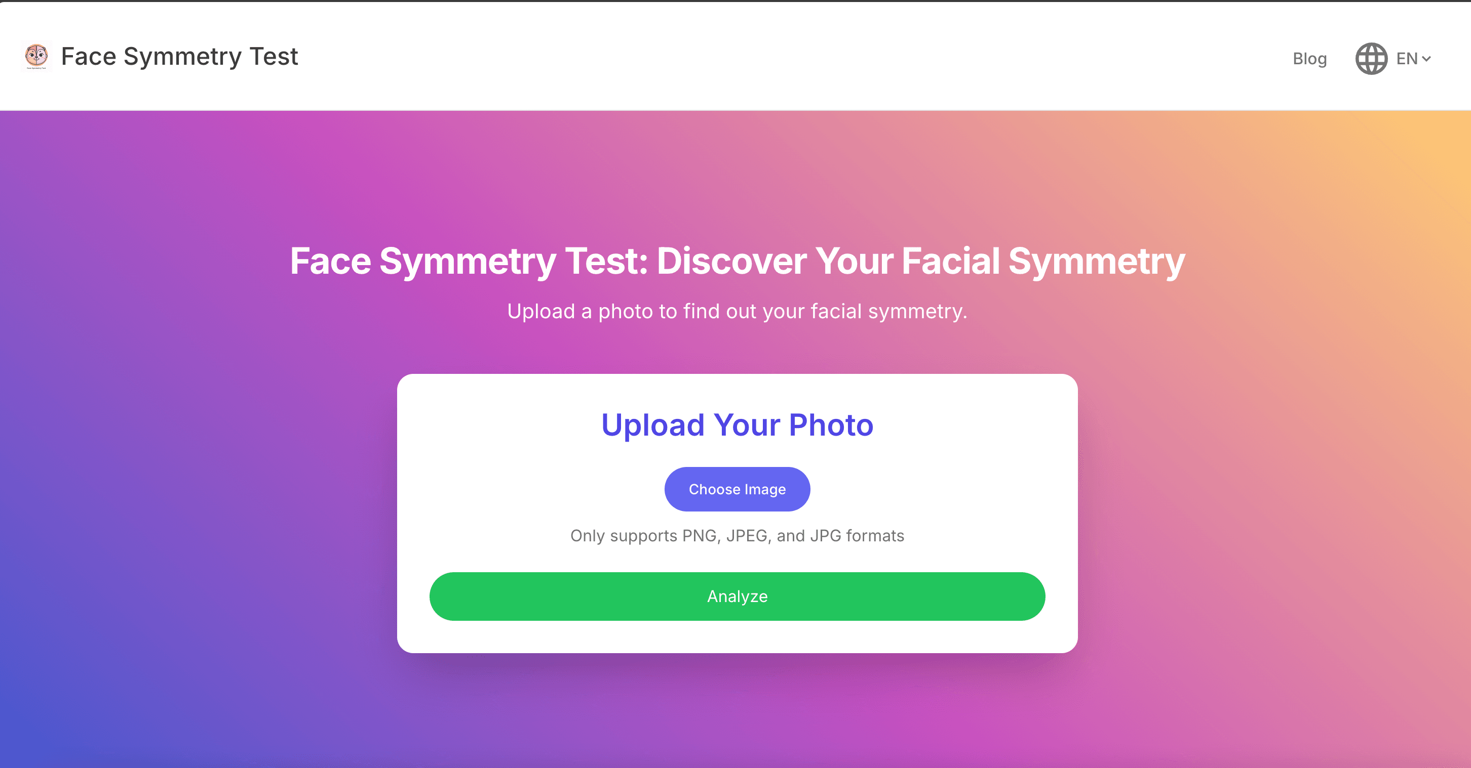Face Symmetry Test screenshot 1