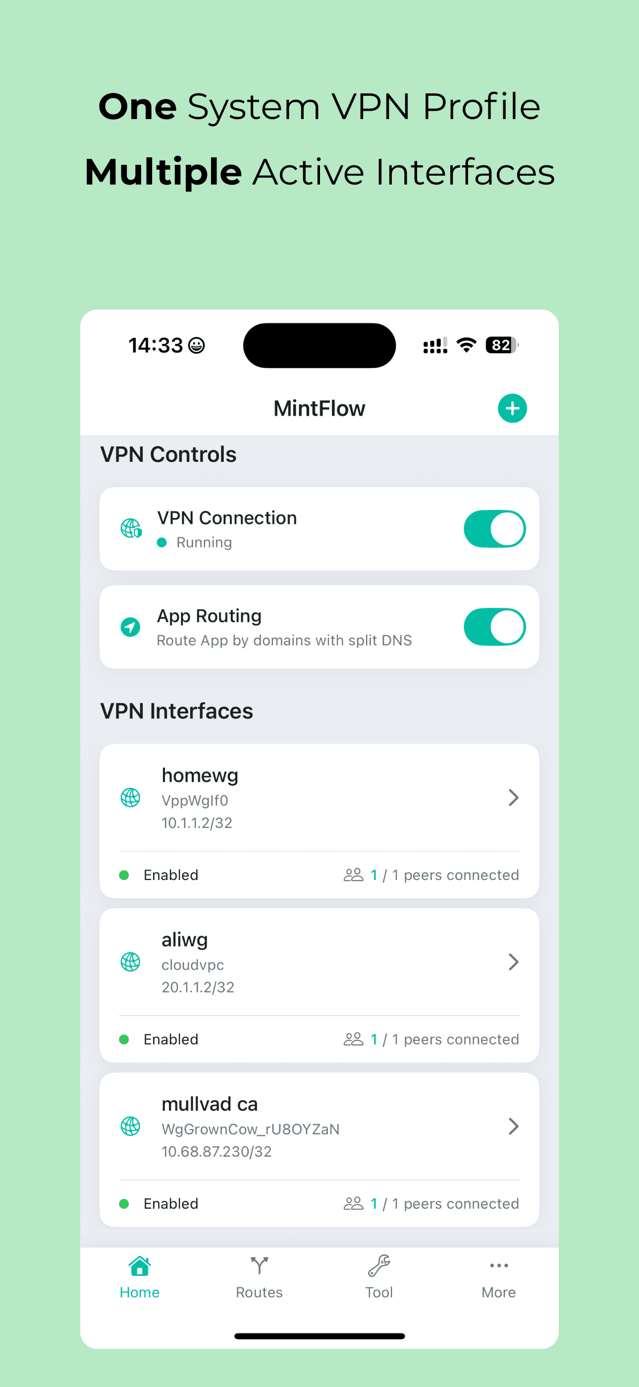 MintFlow NetStack screenshot 1
