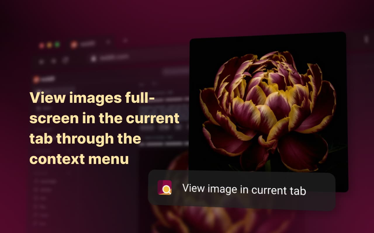 Enhanced Image Viewer screenshot 1