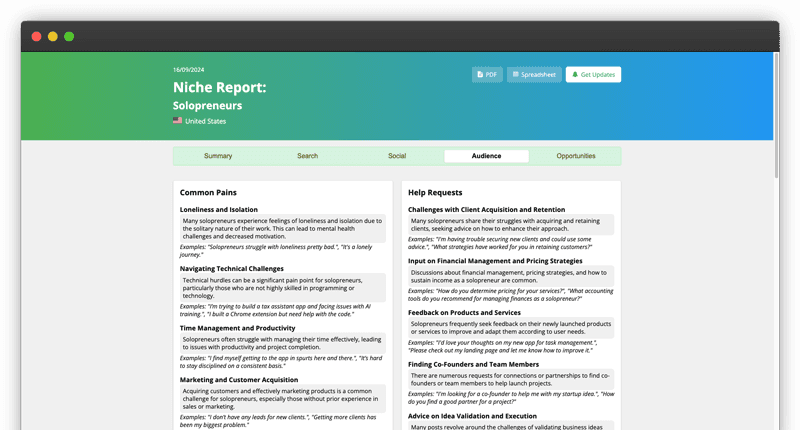 Niche Report.io screenshot 1