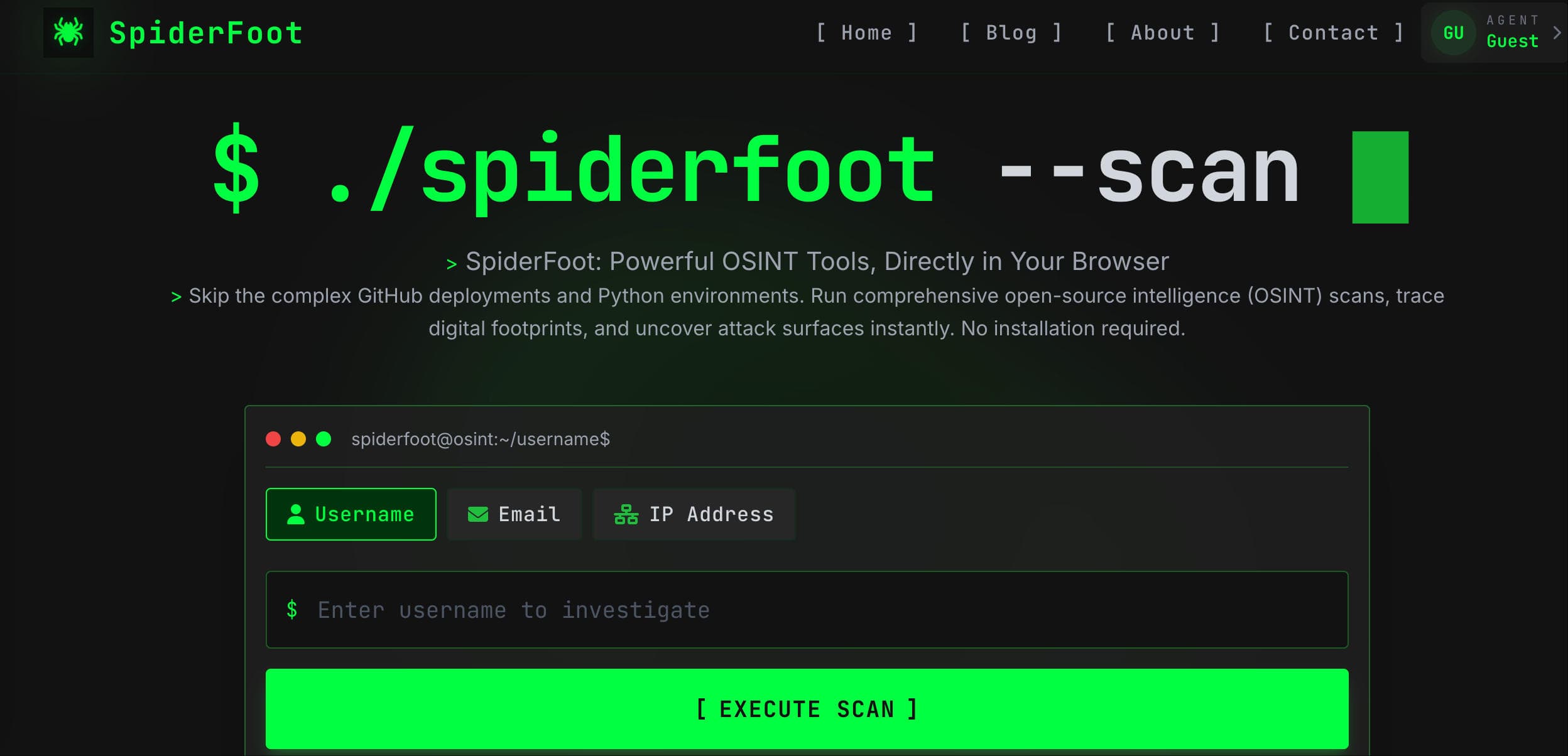 SpiderFoot screenshot 1
