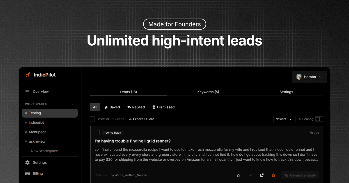 Indiepilot - AI Reddit Lead Generation screenshot 1