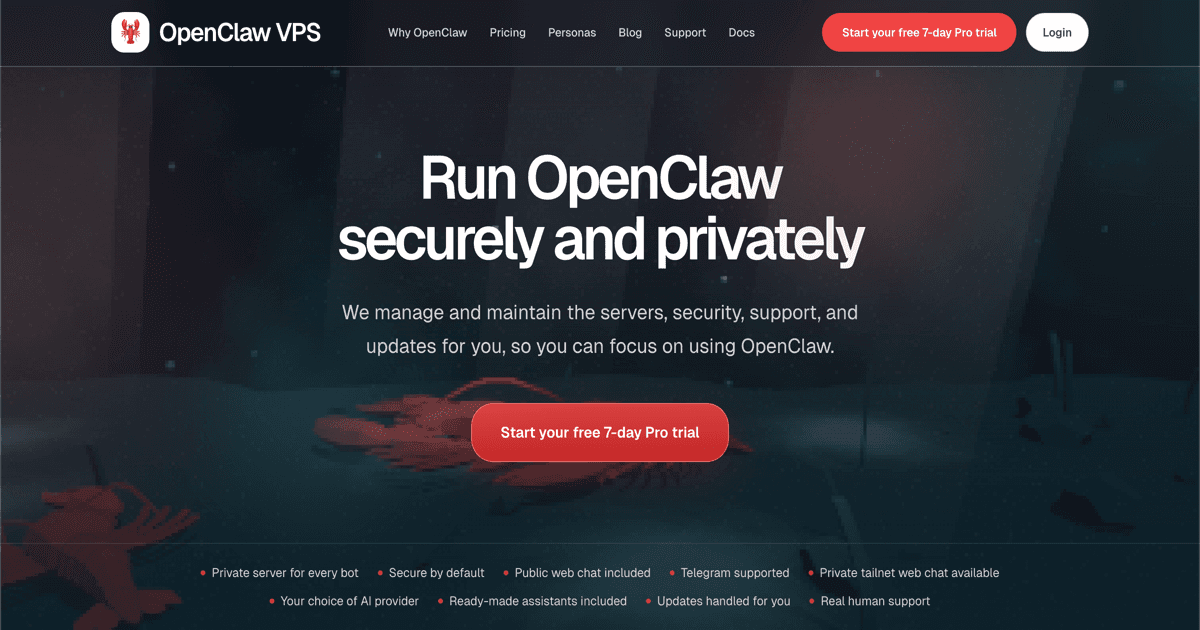 OpenClaw VPS screenshot 1
