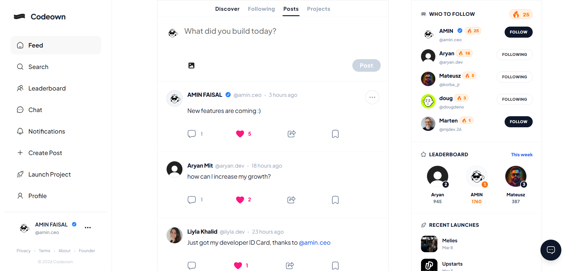 Codeown screenshot 1