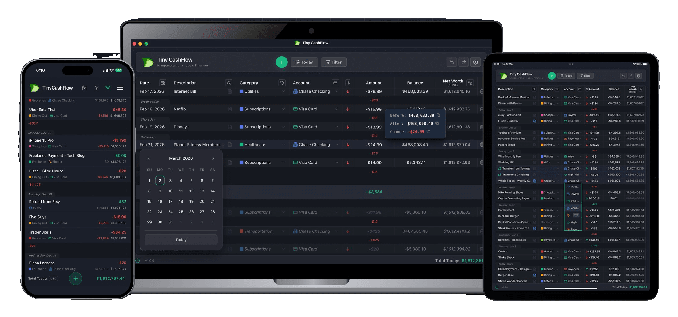 TinyCashflow screenshot 1