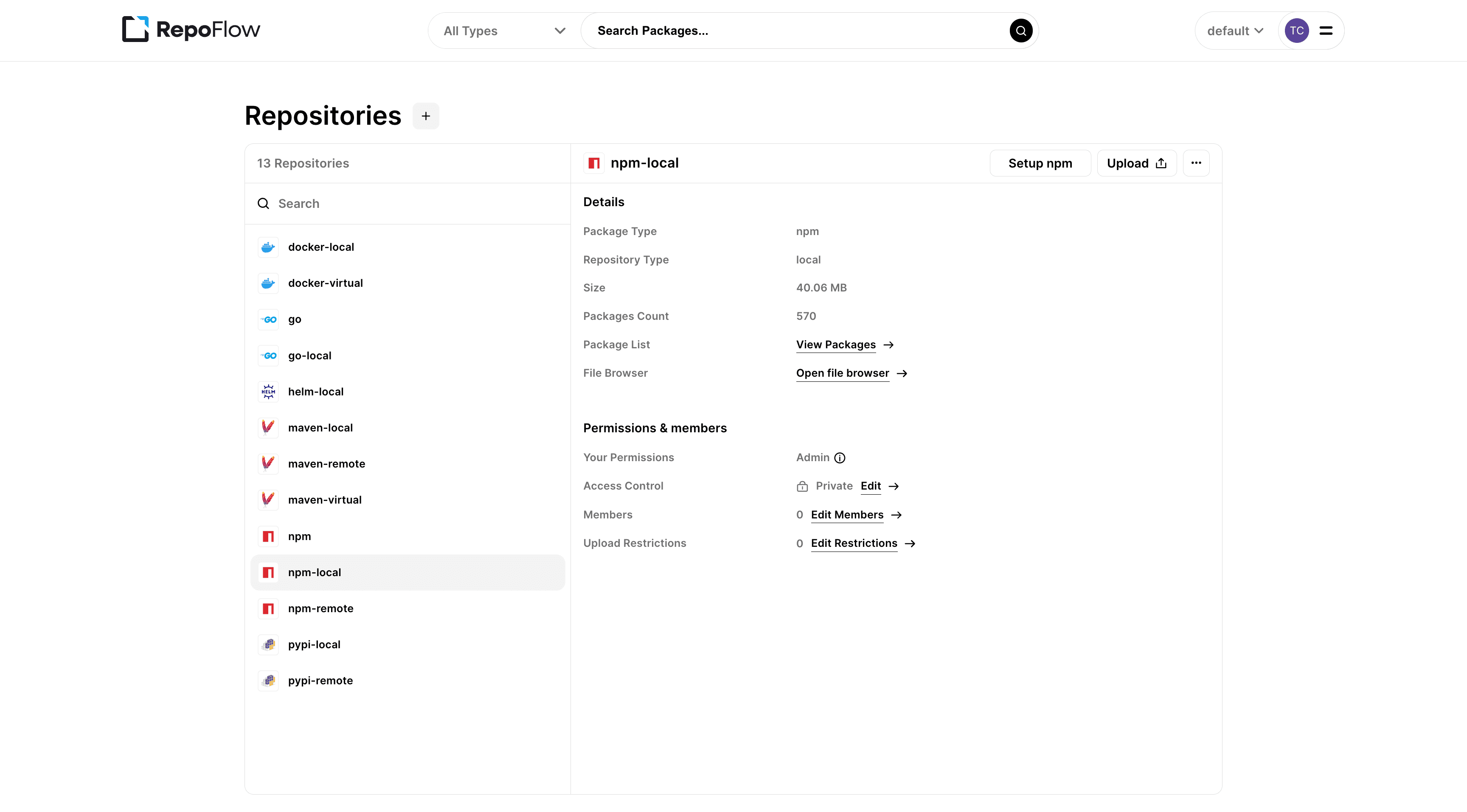 RepoFlow screenshot 1